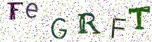 FeGRFT