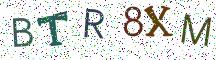 BTR8XM