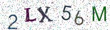 2LX56M