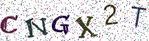 CNGX2T