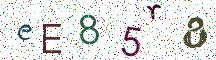 eE85r8