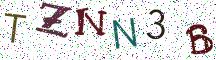 TZNN3B