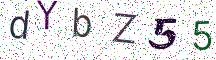 dYbZ55