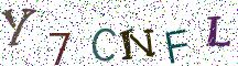 Y7CNFL
