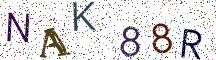 NAK88R