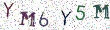 YM6Y5M