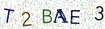 T2BAE3