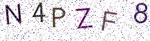 N4PZF8