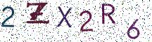 2ZX2R6