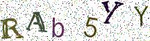RAb5YY