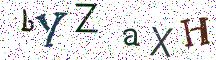 bYZaXH