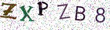 ZXPZB8
