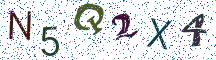 N5Q2X4