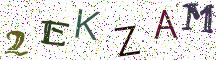 2EKZAM