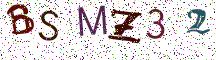 BSMZ32