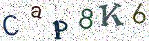 CaP8K6
