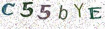 C55bYE