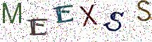MEEXSS