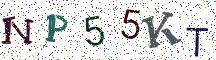 NP55KT