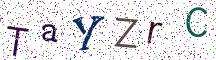 TaYZrC