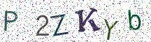 P2ZKYb