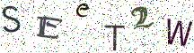 SEeT2W