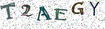 T2AEGY