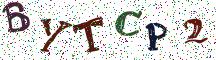 BYTCP2