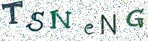 TSNeNG