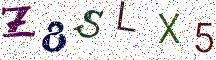 Z8SLX5