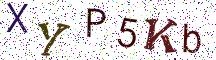 XYP5Kb