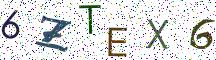 6ZTEX6