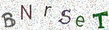 BNrSeT
