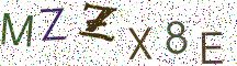 MZZX8E