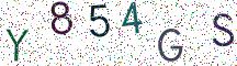 Y854GS