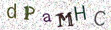 dPaMHC
