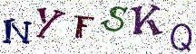 NYFSKQ