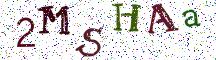 2MSHAa