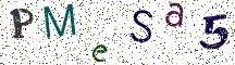 PMeSa5
