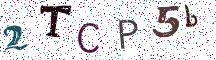 2TCP5b