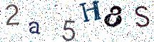 2a5H8S