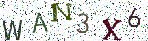 WAN3X6
