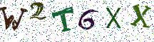 W2T6XX