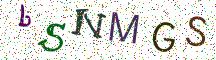 bSNMGS