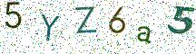 5YZ6a5