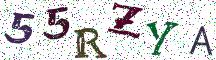 55RZYA
