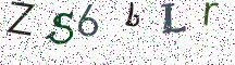 ZS6bLr