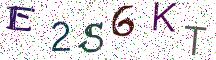 E2S6KT