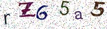 rZ65a5