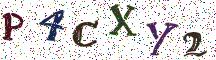 P4CXY2